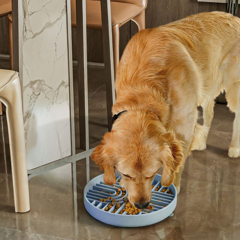 Slow Feeder Dog Bowl Textured Surface