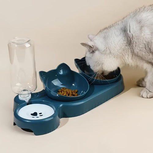 Automatic Cat Feeder & Water Dispenser