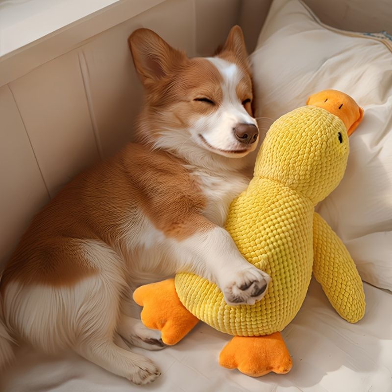 Interactive Duck Dog Toy Plush