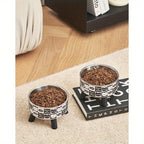 Elevated Cat Feeding Bowl with Stand