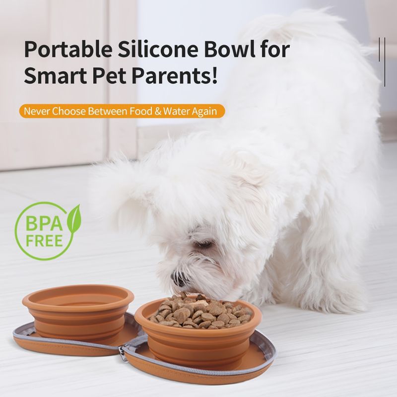 Foldable 2-in-1 Dog Bowl