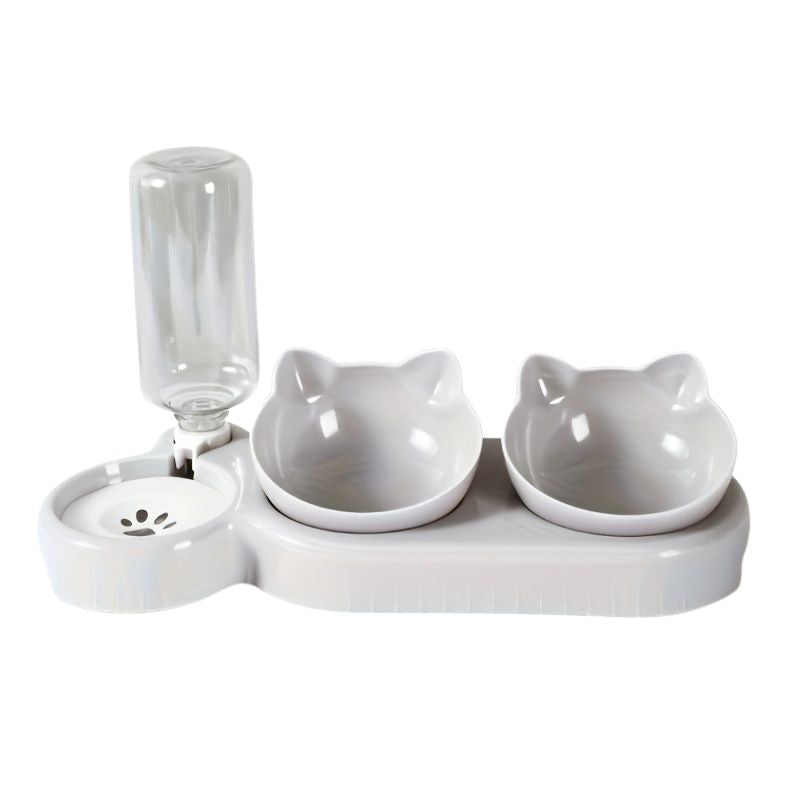 Automatic Cat Feeder & Water Dispenser